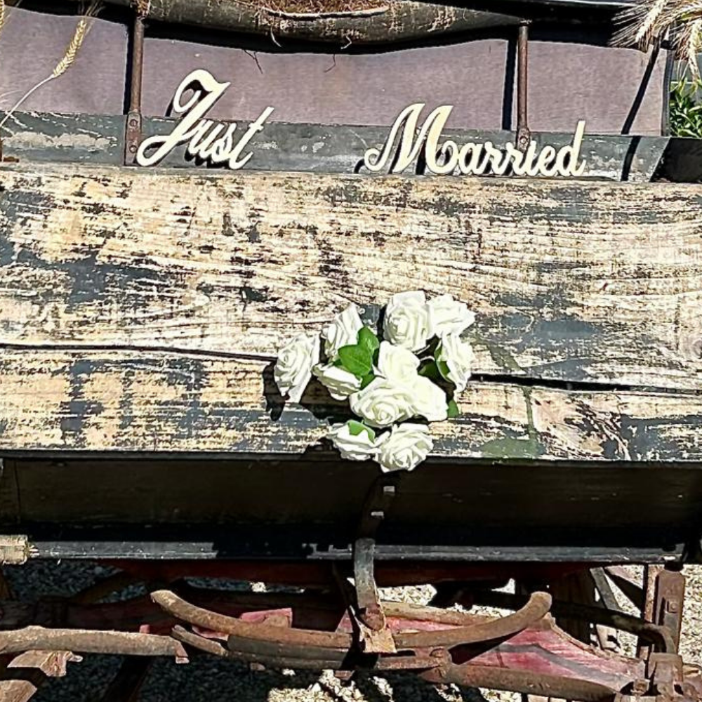 Panneau bois "Just Married" - Image 1